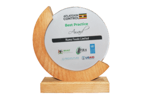 Aflatoxin control